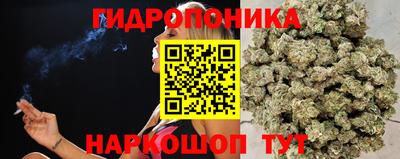 ALPHA-PVP Партизанск