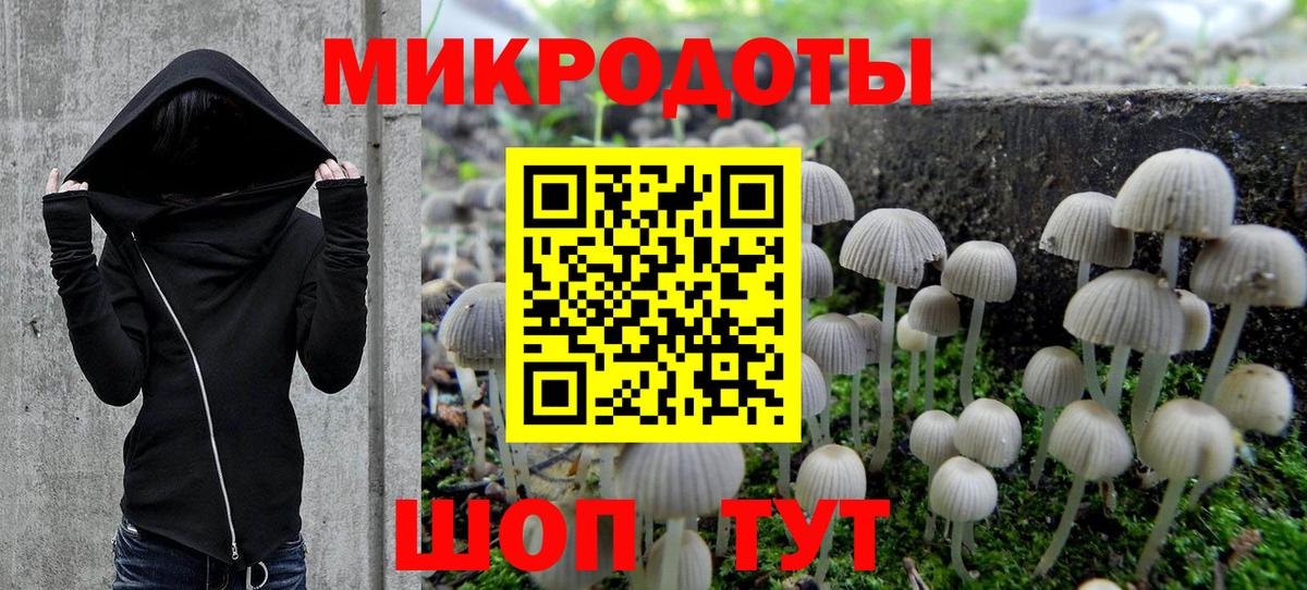 Галлюциногенные грибы мицелий Родники