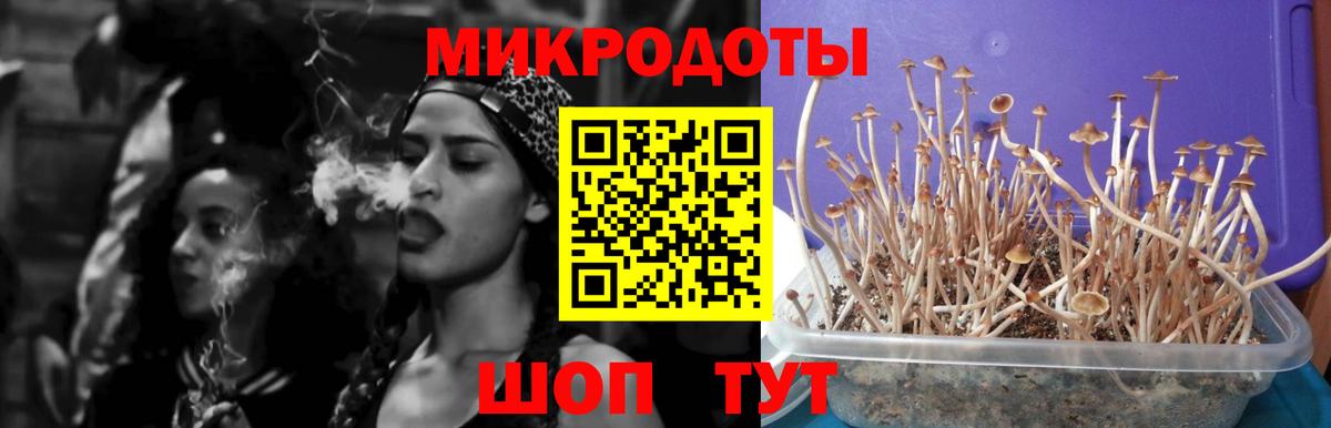 Псилоцибиновые грибы Cubensis  Вход с VPN  Родники 